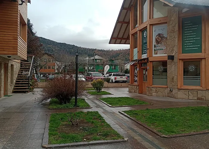 Araucarias1