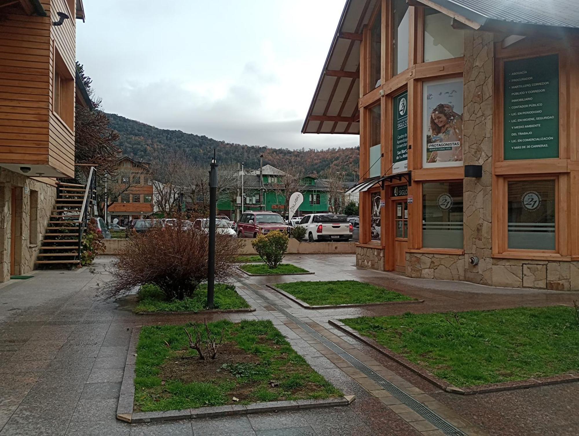 Araucarias1 San Martin de los Andes